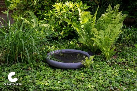plantschaal natuurlijk