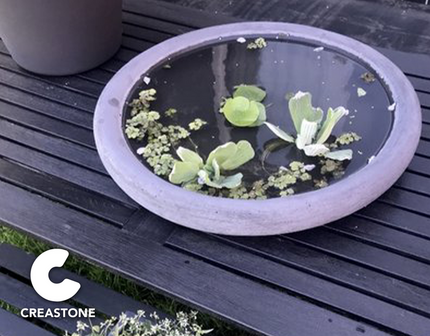 Dichte schaal voor plant of water 70 cm