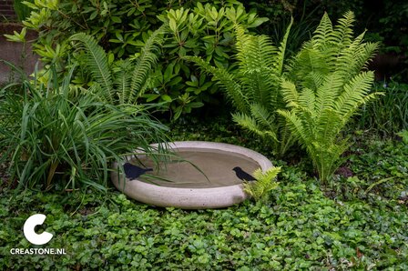 Dichte schaal voor plant of water 80 cm