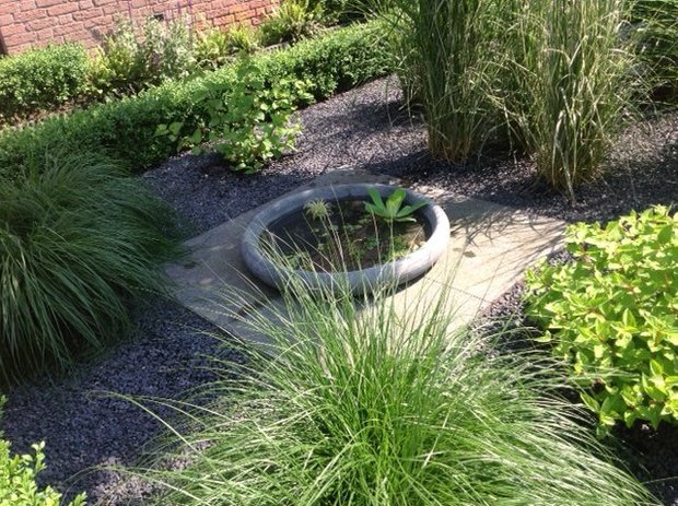 betonnen schaal met waterplanten