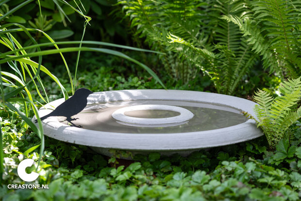 Vogeldrinkschaal Ø 60 cm.