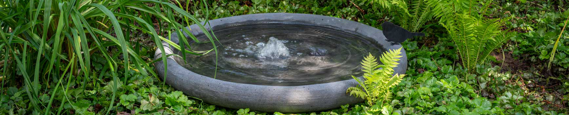 Waterornamenten